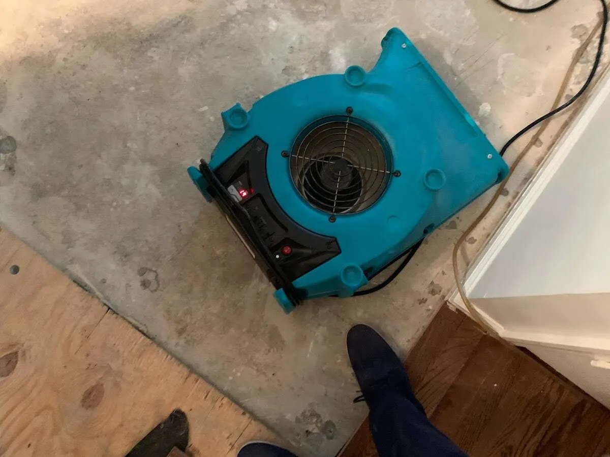 Air mover drying subfloor during Commercial Water Damage Restoration in Muhlenberg